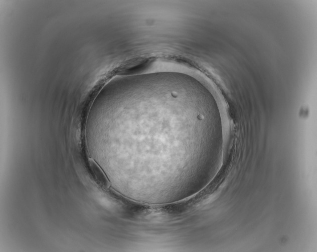 X0000090430589200707272133