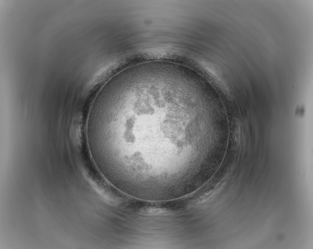 X0000090430590200707272133