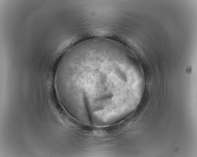 X0000090430591200707272133