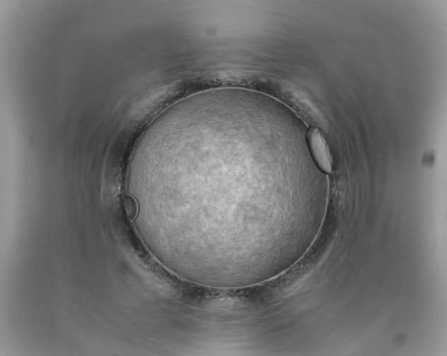 X0000090430593200707272133