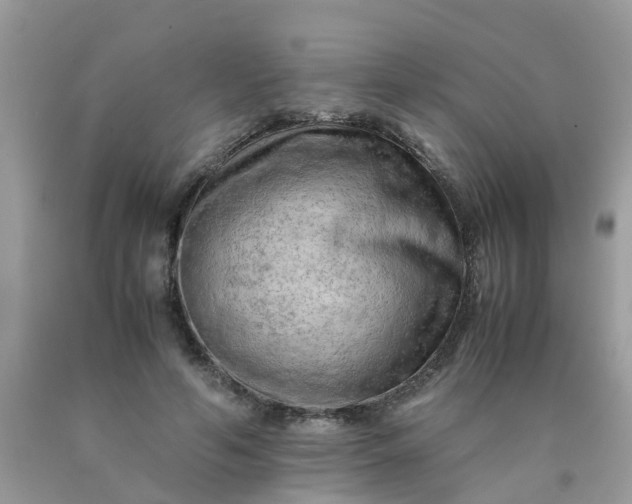 X0000090430594200707272133