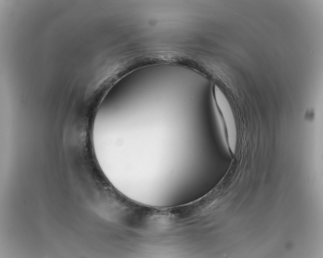 X0000090430595200707272133