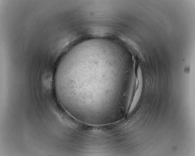 X0000090430596200707272133