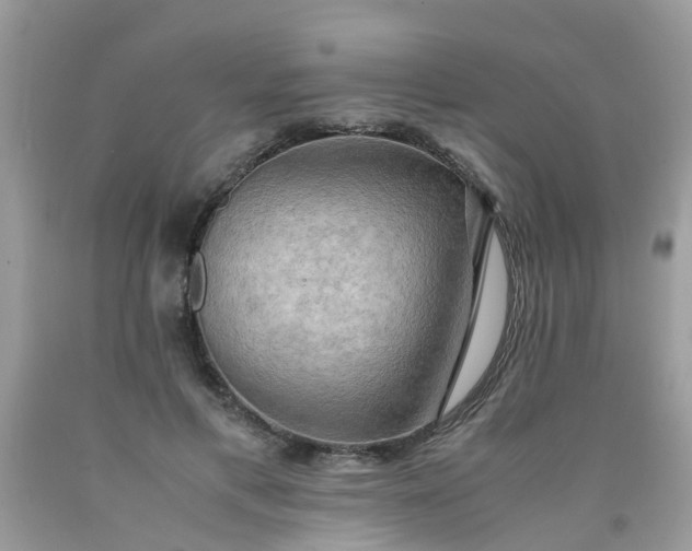 X0000090430597200707272133