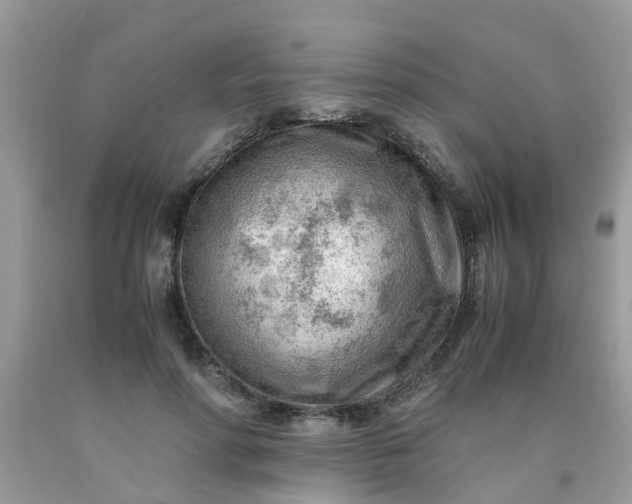 X0000090430598200707272133