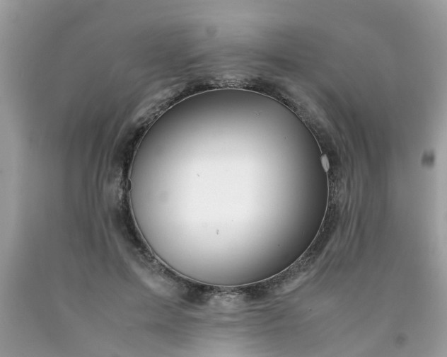 X0000090430599200707272133