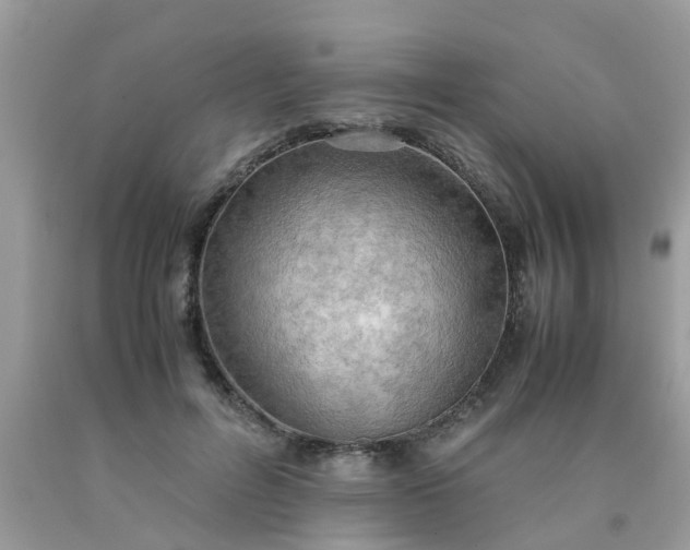 X0000090430600200707272133