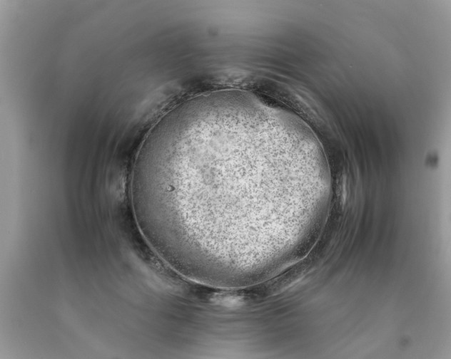 X0000090430602200707272133