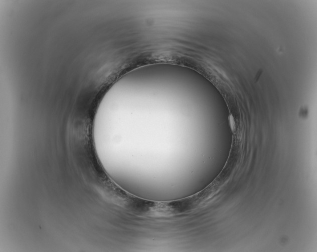 X0000090430603200707272133