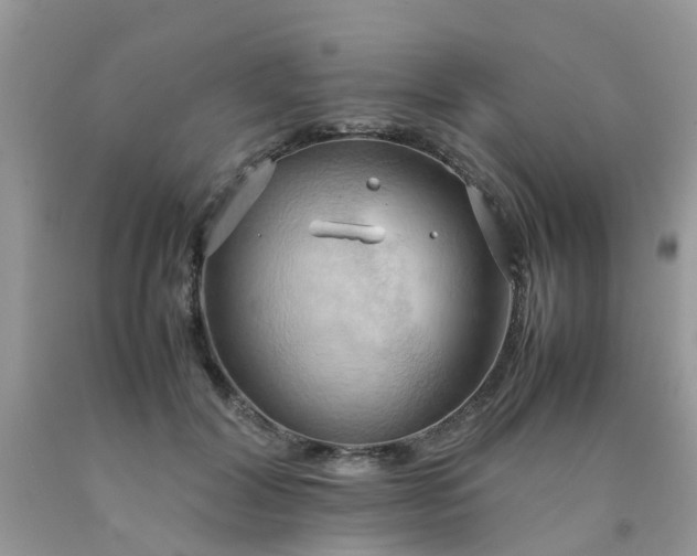 X0000090430604200707272133