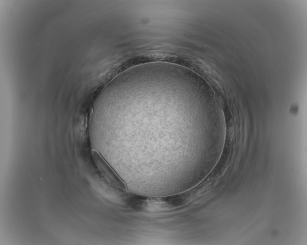 X0000090430605200707272133