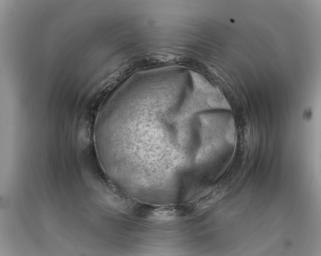 X0000090430606200707272133