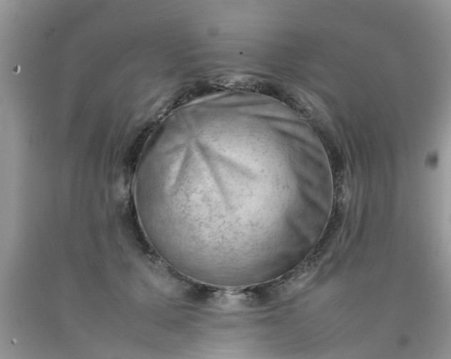 X0000090430607200707272133