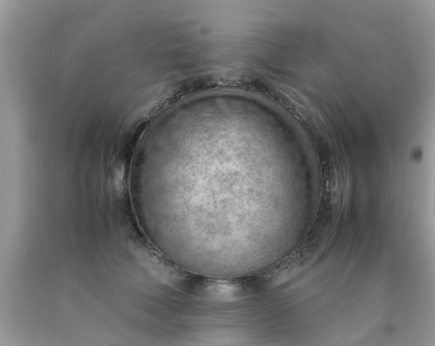 X0000090430610200707272133