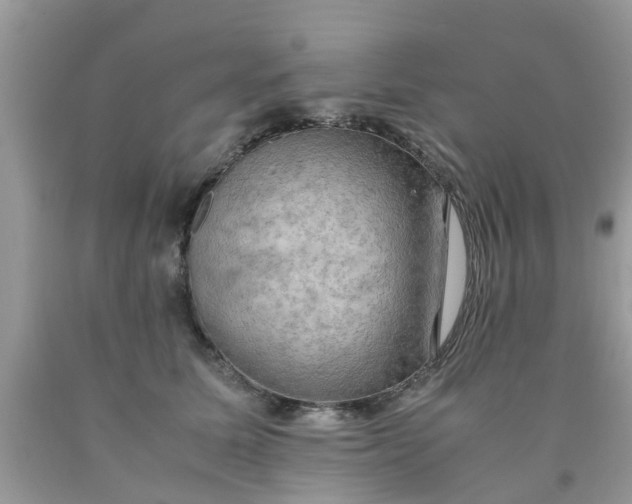 X0000090430611200707272133