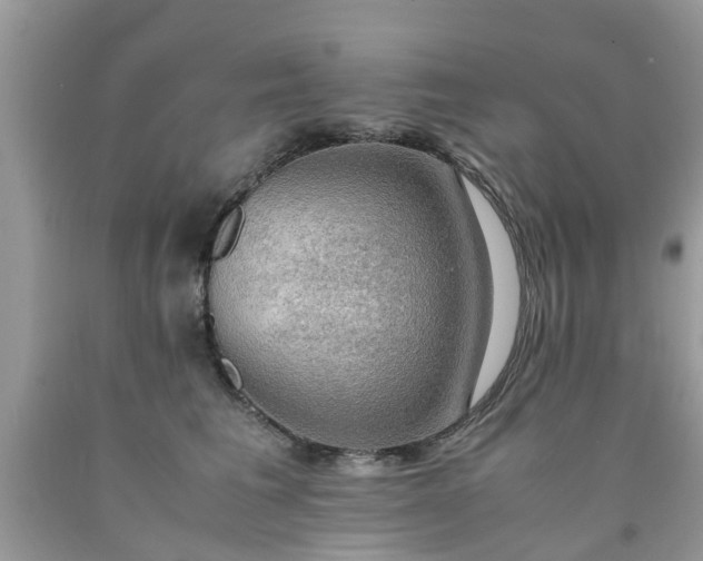 X0000090430613200707272133