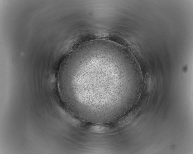 X0000090430614200707272133