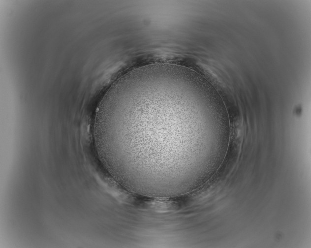 X0000090430615200707272133