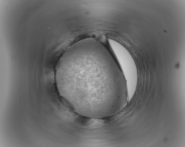 X0000090430617200707272133