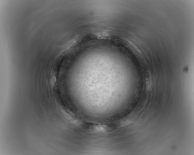 X0000090430618200707272133