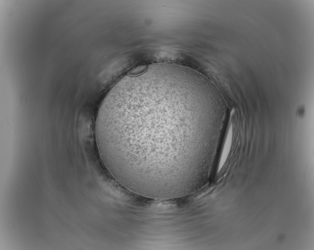 X0000090430619200707272133