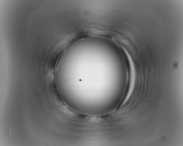 X0000090430621200707272133