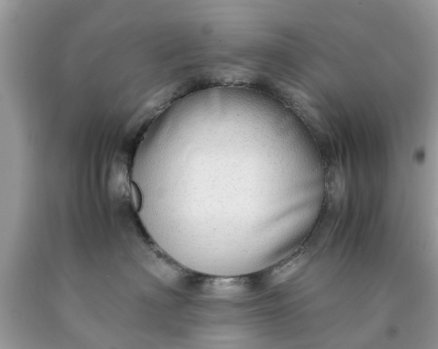 X0000090430622200707272133