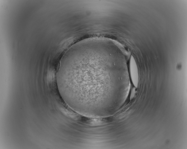 X0000090430623200707272133