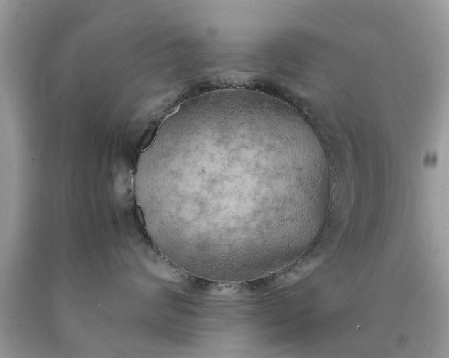 X0000090430624200707272133