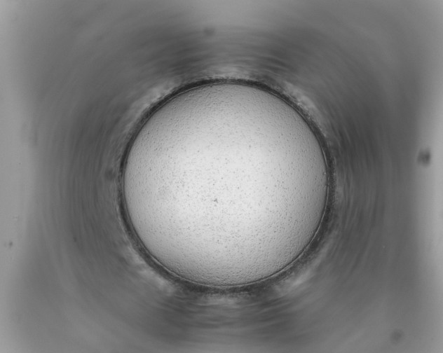 X0000090430625200707272132