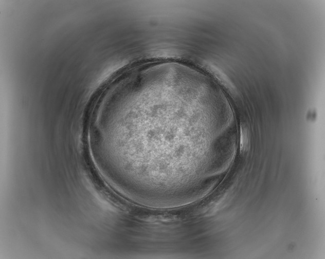 X0000090430627200707272132