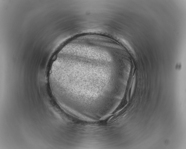 X0000090430628200707272132