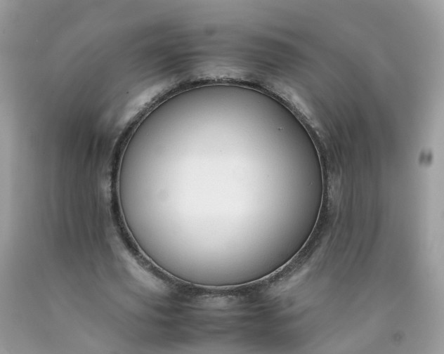 X0000090430629200707272132