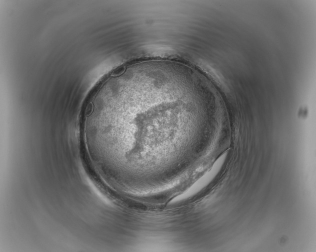 X0000090430630200707272132