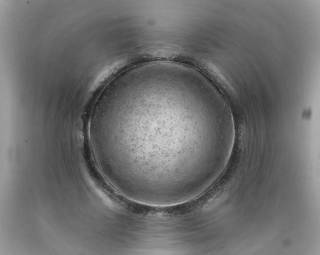 X0000090430634200707272132