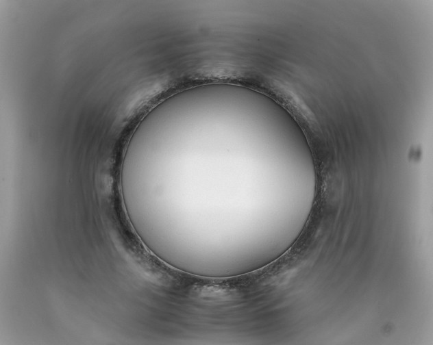 X0000090430635200707272132