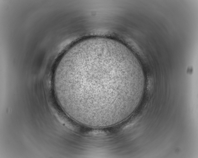 X0000090430636200707272132