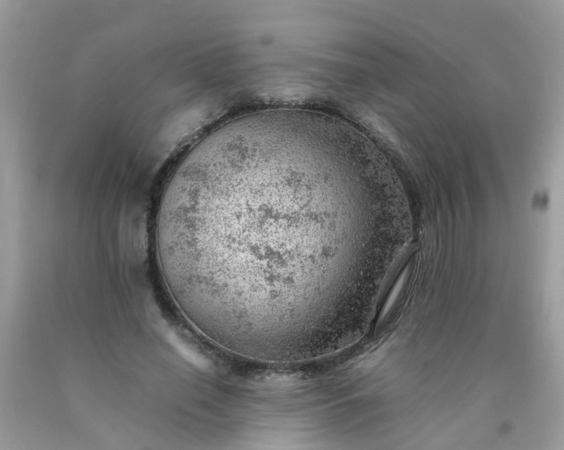 X0000090430638200707272132