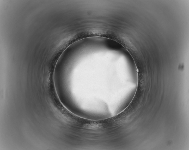 X0000090430639200707272132