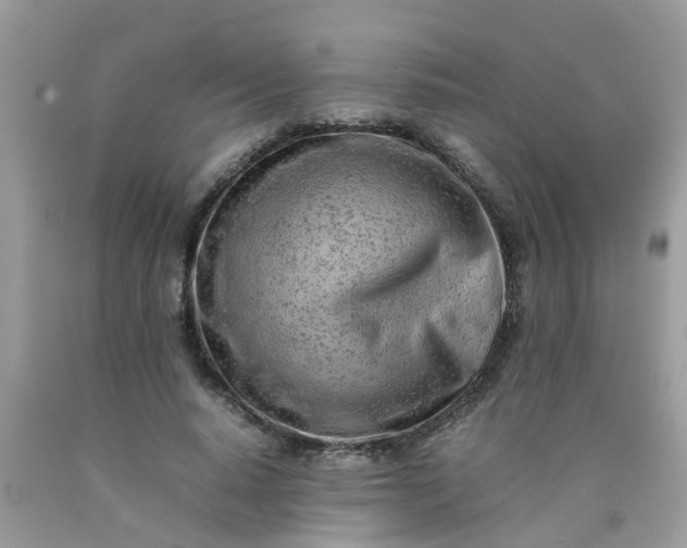 X0000090430640200707272132