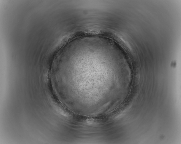 X0000090430641200707272132