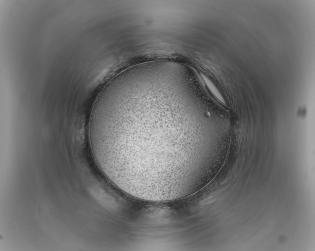 X0000090430642200707272132