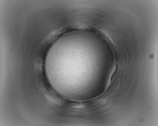 X0000090430643200707272132