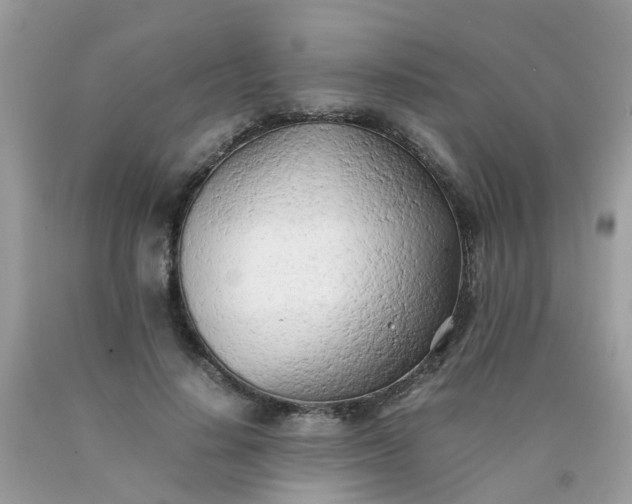 X0000090430644200707272132