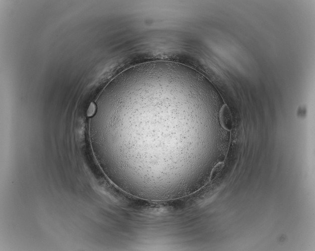 X0000090430646200707272132