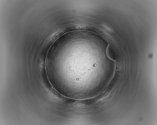 X0000090430648200707272132