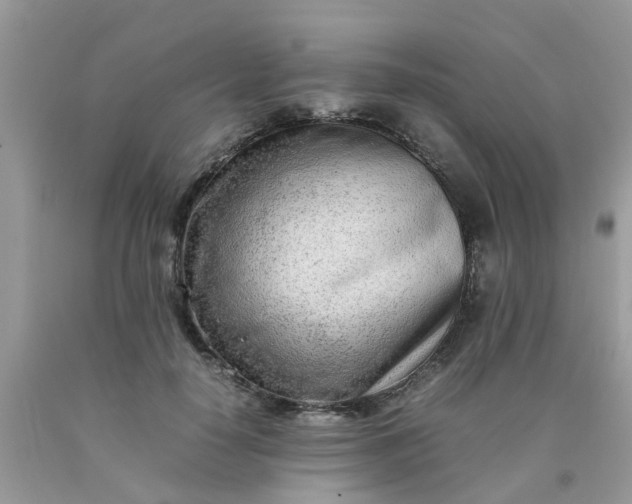 X0000090430650200707272132