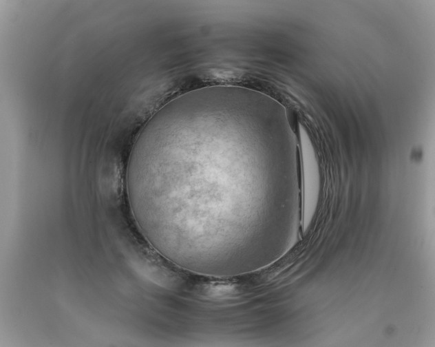 X0000090430651200707272132