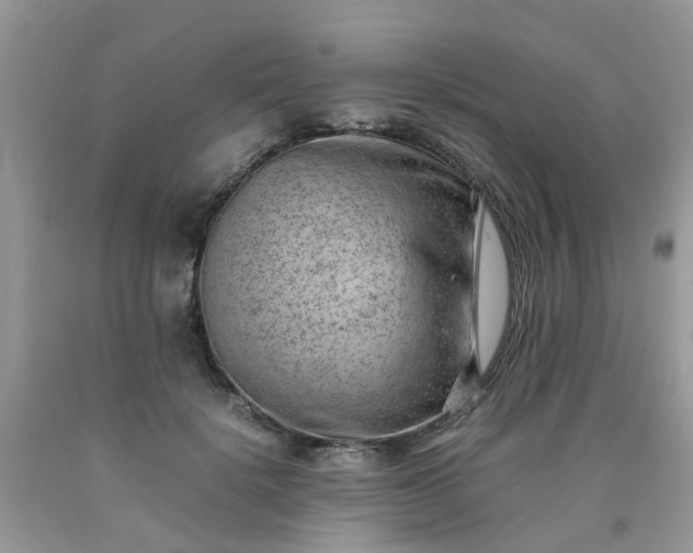 X0000090430652200707272132