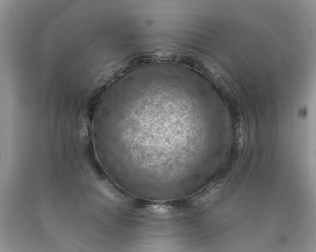 X0000090430654200707272133